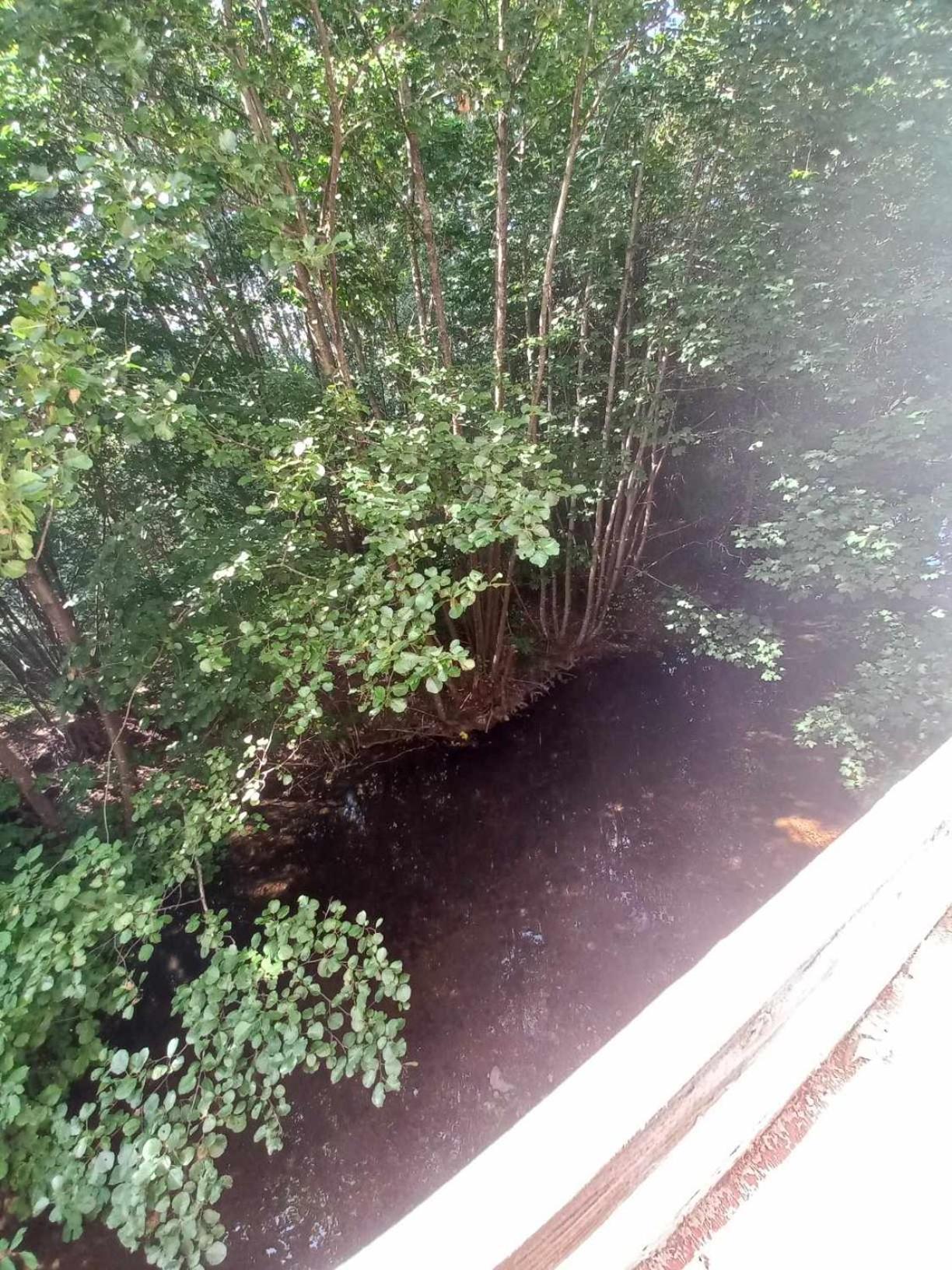 Gite De L'Ours Saint-Maurice-sur-Moselle Exteriör bild