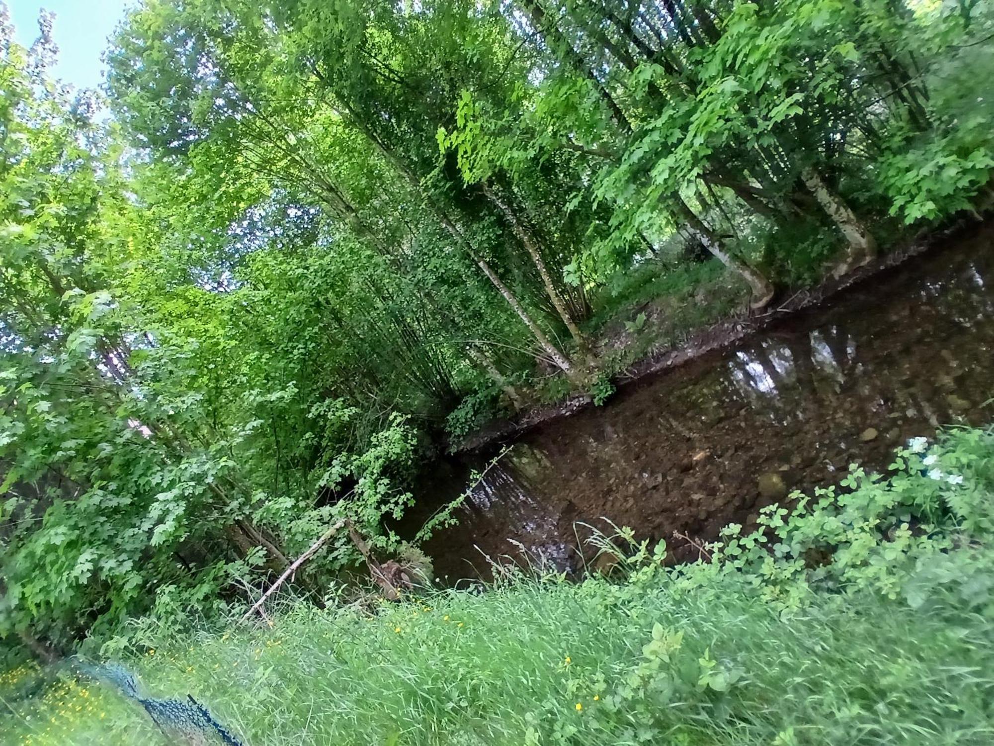 Gite De L'Ours Saint-Maurice-sur-Moselle Exteriör bild