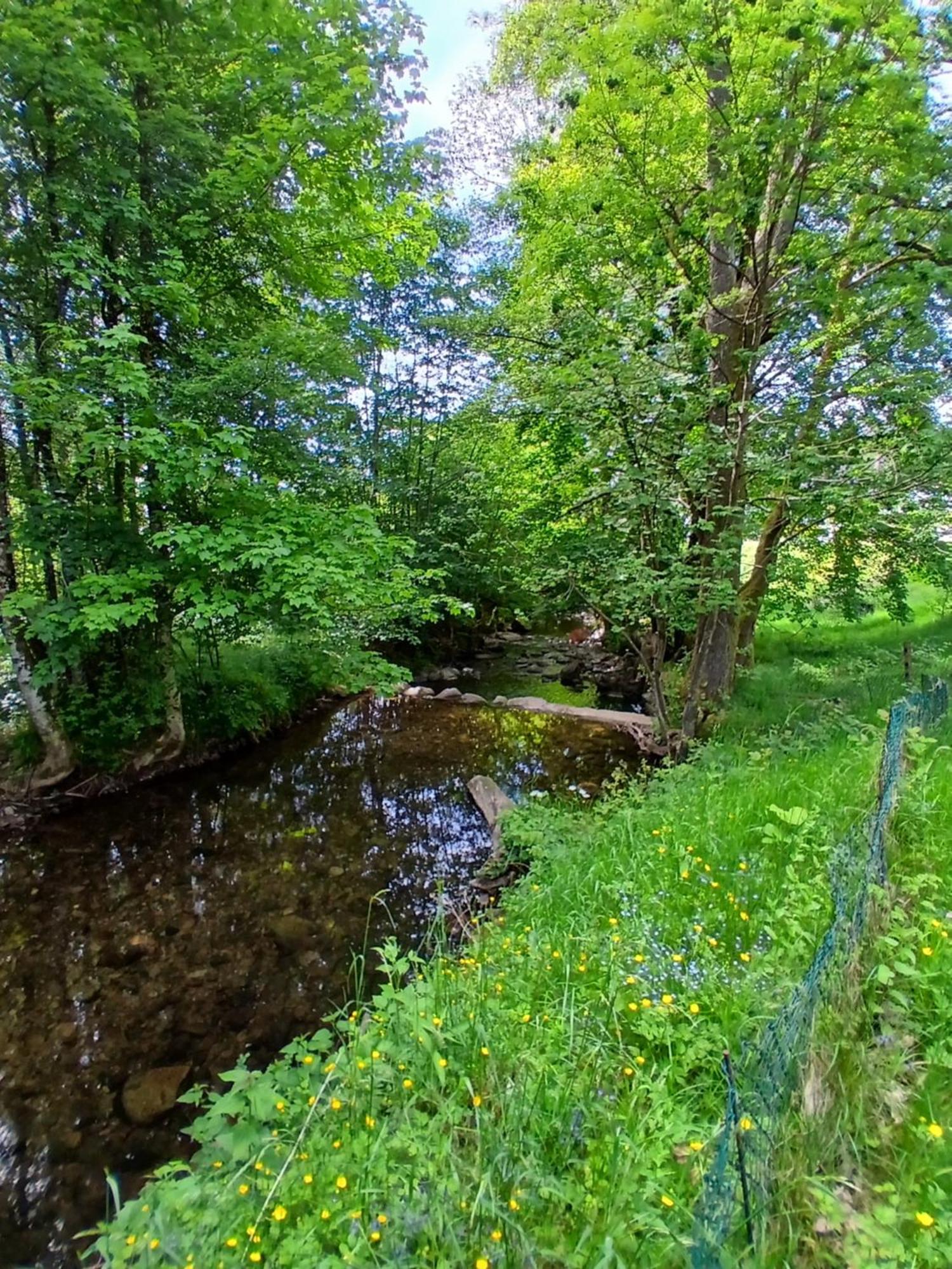 Gite De L'Ours Saint-Maurice-sur-Moselle Exteriör bild